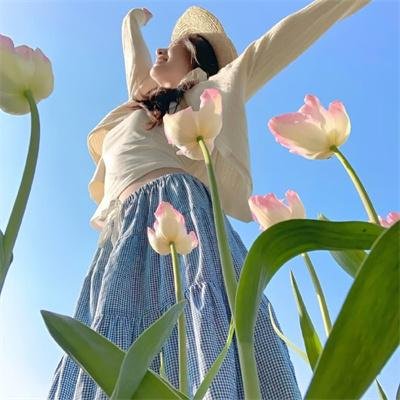 象宫龙虎斗
