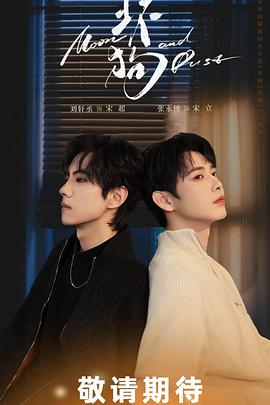 盲点第四季 封面图